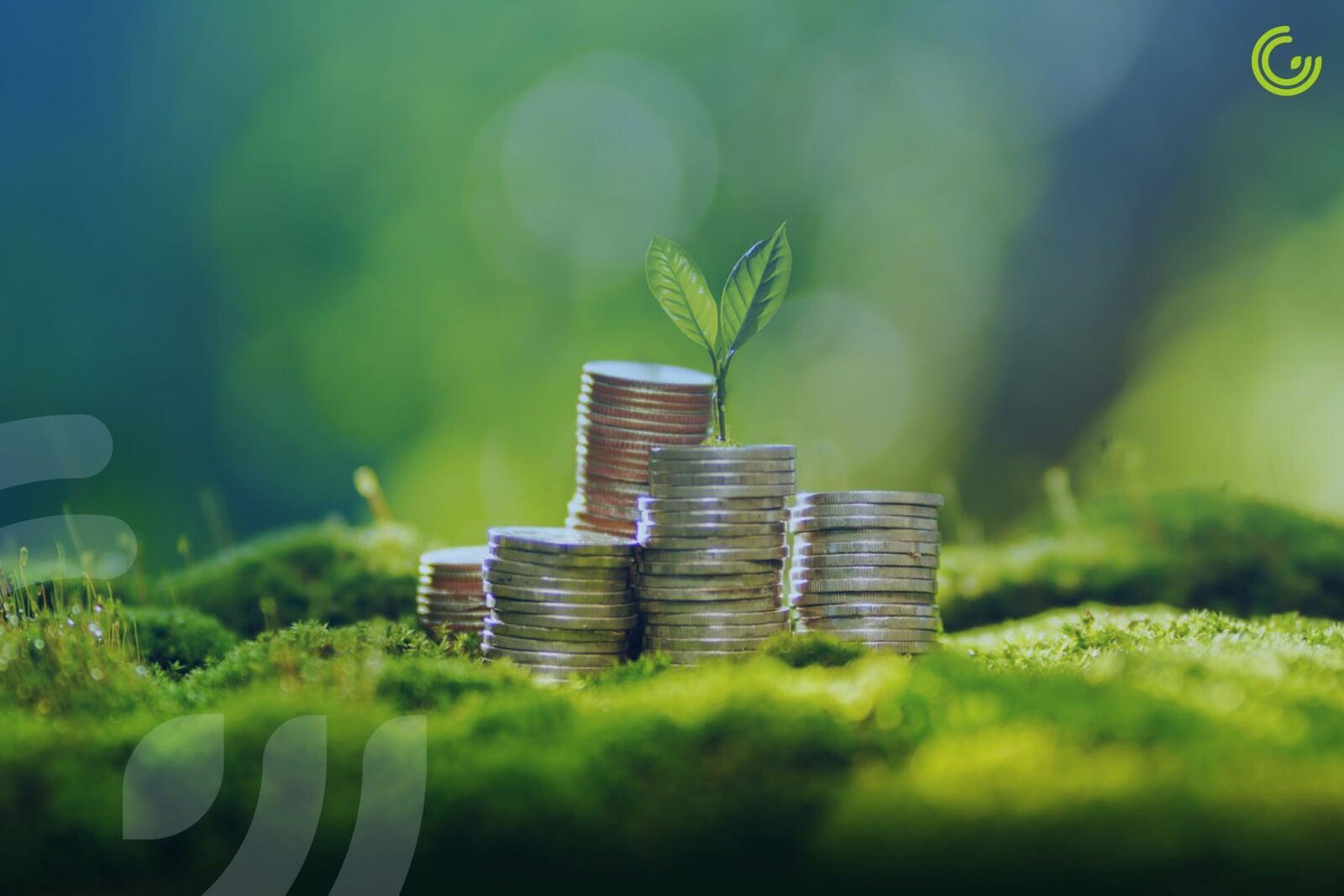 Wie du mit grüner Finanzierung direkt Geld sparst